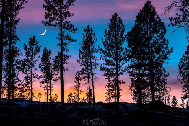 Black-Hills-SD/640x480_Sunset Custer.jpg